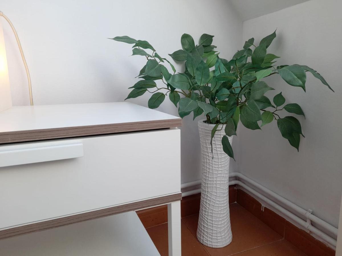 Atico Ciudadela Appartement Jaca Buitenkant foto